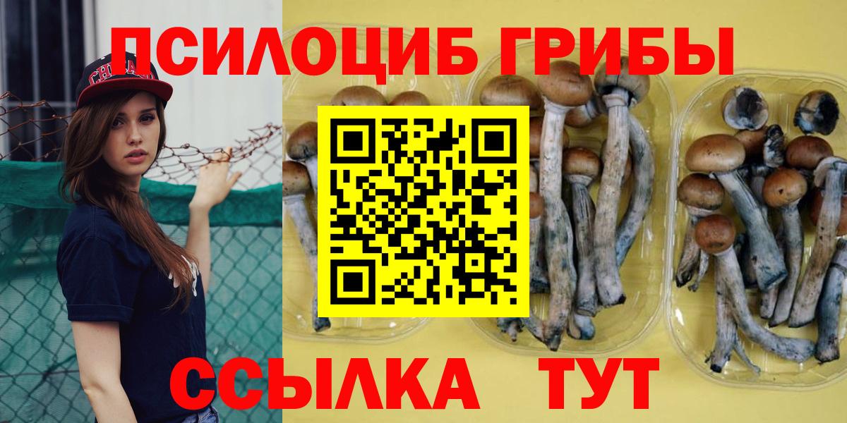 Жуковский  Галлюциногенные грибы GOLDEN TEACHER  Галлюциногенные грибы Psilocybe  где найти   Вход с VPN 